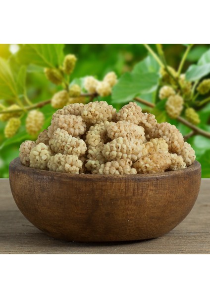 Hacı Mümtaz Dut Kurusu 250 gr