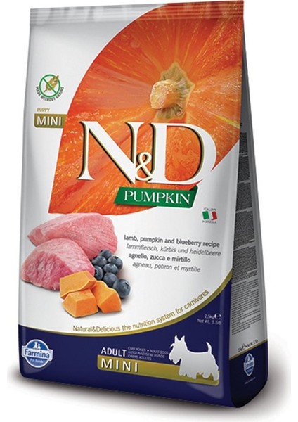 Balkabaklı Kuzu Etli Küçük Irk Yetişkin Köpek Maması 2.5 kg