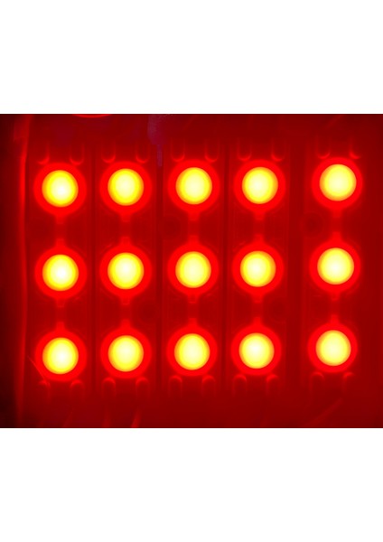 Modül LED Mercekli Kırmızı 12V - 20 Adet