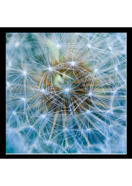 Alüminyum Fly Fishing Reel 5 / 6WF Sol / Sağ El Cnc Işlenmiş Fly Reels Yeşil 5 6WF Yeşil fırsatları