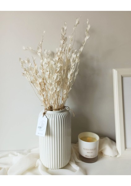 Şoklanmış Beyaz Sedef Çiçek