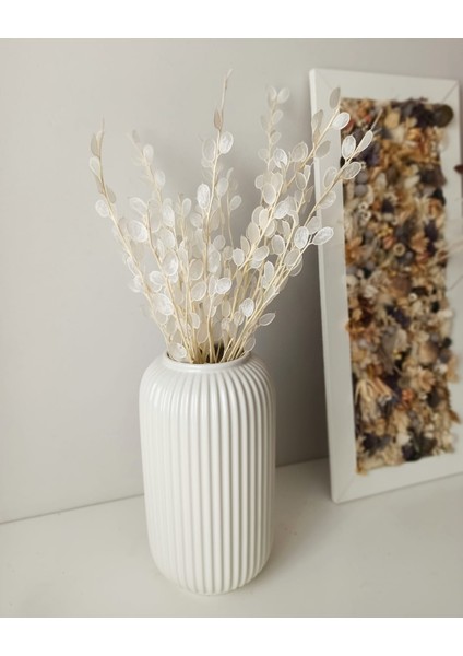 Şoklanmış Beyaz Sedef Çiçek fiyatları