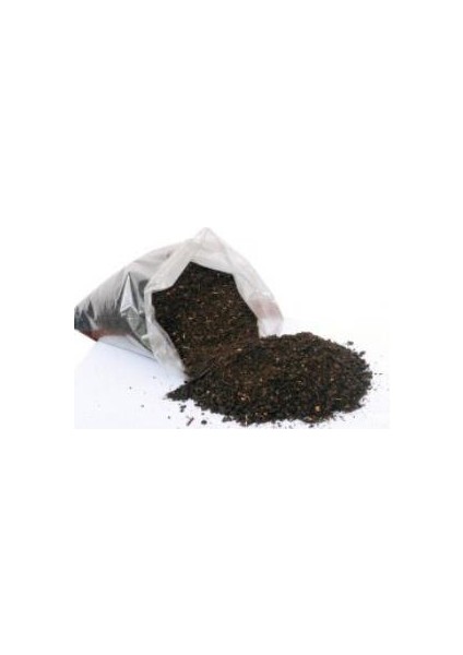 Balkon Saksı Bitkileri Sukulent Kaktüs Gül Torfu 10 Litre 2,5 Kğ