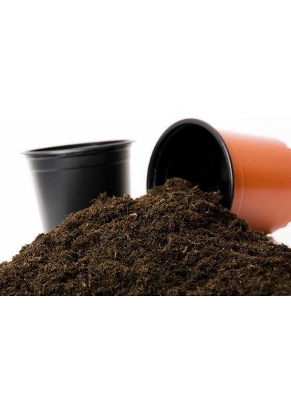 Balkon Saksı Bitkileri Sukulent Kaktüs Gül Torfu 10 Litre 2,5 Kğ