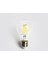 CT-4217G 8W Edison LED Ampul Günışığı 1