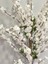 Yapay Ağaç Bahardalı Ağacı Beyaz Japon Kiraz Çiçeği Sakura Çiçeği 127X70CM Siyah Plastik Saksılı 2