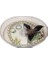 Çekmece Içi Kozmetik ve Takı Düzenleyici Oval 18X11X3CM 2