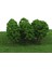1: 150 N Ölçekli Yeşil Model Ağacı Düzeni Orman Diorama Manzarası Modeli 8 cm Ağaç 2