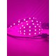 Zoapet Tam Spektrum Hidrofonik Fito Sera Bitki Büyütme 1 M 5050 Şerit LED Işık + Adaptör Dahil
