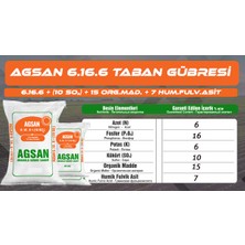 Agsan 6.16.6 Taban Gübresi