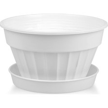 Serinova Ender Peyzaj Serinova Menekşe Saksı 2lt