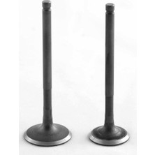 Monero Honda  Subap (Sibop) Takımı Spacy- Alpha