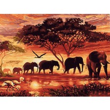 Womb Hobby Afrika 2 Sayılarla Boyama Seti 40 x 50 cm (Tuvale Gerili)