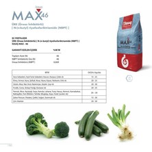 Igsaş Max-46 Yavaş Salınımlı Gübre -25 kg