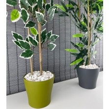 Bahçem Yapay Benjamin Ağacı 110 cm ve Yapay Bambu Ağacı 110 cm 2'li Set