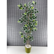Bahçem Yapay Benjamin Ağacı 110 cm ve Yapay Bambu Ağacı 110 cm 2'li Set
