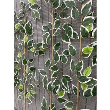 Bahçem Yapay Starlight Benjamin Çubuğu Yoğun Yapraklı 90 cm 5 Adet