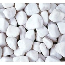 Serinova Dolomit Taş Beyaz 2-4 cm Boy 20 kg