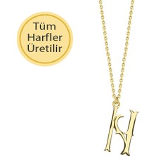 Engingold 14 Ayar Altın N Harfli Kolye