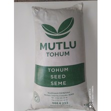 Mutlu Tohum Mahsul Korunga Yem Bitkisi Tohumu (Lütfibey 2kg)