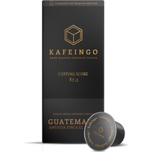 Kafeingo 10'lu Kapsül Kutusu - Guatemala Finca El Portal x 4