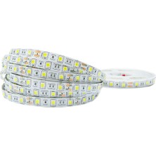 Smyrna Adaptörlü ve Açma-Kapama Anahtarlı Şerit LED Seti 12V 2 Metre Günışığı