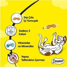 Dreamies Whiskas Dreamies Kedi Ödülü Mix Somonlu Peynirli 60 gr x 24 Adet