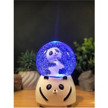 herkesetoptantic Düşünen Panda Orta Boy Işıklı Müzikli Kar Küresi