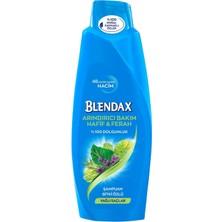 Blendax Bitki Özlü Şampuan 500 ml