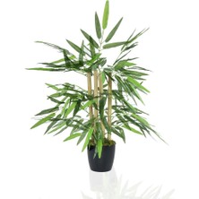 Nettenevime Yapay Ağaç Bambu Ağacı 4 Gövdeli 50X35 Siyah Plastik Saksılı