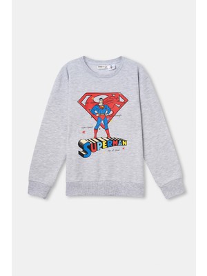 Dagi Gri Sweatshirt