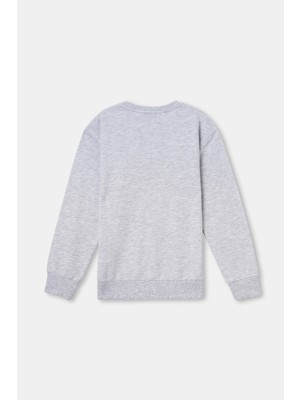 Dagi Gri Sweatshirt