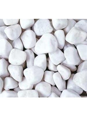 Serinova Dolomit Taş Beyaz 2-4 cm Boy 20 kg