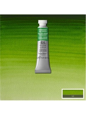 Winsor & Newton Professional Sulu Boya 5 ml 503 Permanent Sap Green
