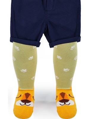 Civil Baby Erkek Bebek Külotlu Çorap 0-12 Ay Yeşil