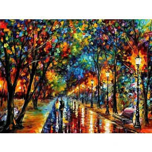 Womb Hobby Renkli Yürüyüş Sayılarla Boyama Seti 40 x 50 cm (Tuvale Gerili)