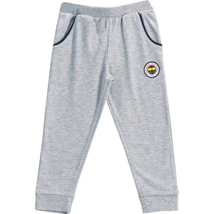 Lisanslı Çocuk Gri Tek Alt