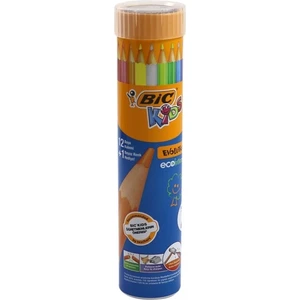 12 Renk Kuru Boya Teneke Kutu