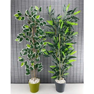 Yapay Benjamin Ağacı 110 cm ve Yapay Bambu Ağacı 110 cm 2'li Set
