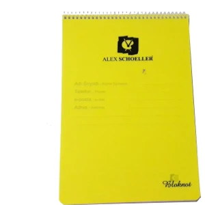 Alex Schoeller A5 Kareli 80 Yaprak Bloknot