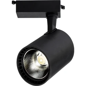 30W Siyah Kasa Paris LED Ray Spot YL29-3101 (Beyaz Işık)