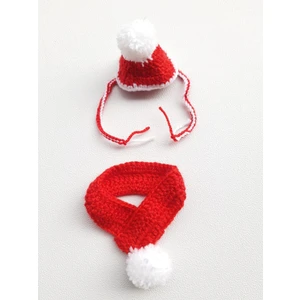 Yeni Yıl Kedi Aksesuarı