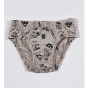 2008 Erkek Çocuk 2 Li Slip Külot Arabalı