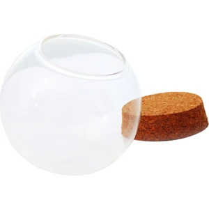 F Fityle Cam Küre Kapak Etli Bitki Çiçek Konteyner Dıy Microlandscape 12 cm (Yurt Dışından)