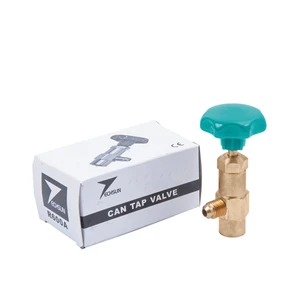 Gaz Vanası 1/4" Bağlantılı R600A
