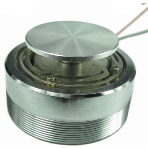 50MM Tüm Frekans Rezonans Ses Taşınabilir Hoparlörler Metal Taşınabilir Hoparlör (Yurt Dışından)