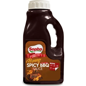 Honey Spicy Barbekü Sos 2,45 kg