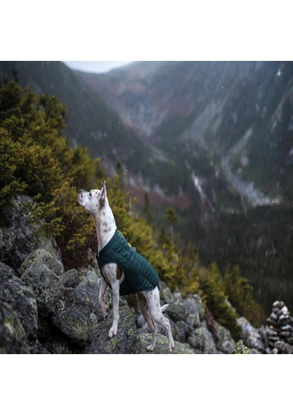 Pet Safe Petsafe Kurgo Loft Su Geçirmez Köpek Montu x Küçük Boy Mavi K01861 fırsatları