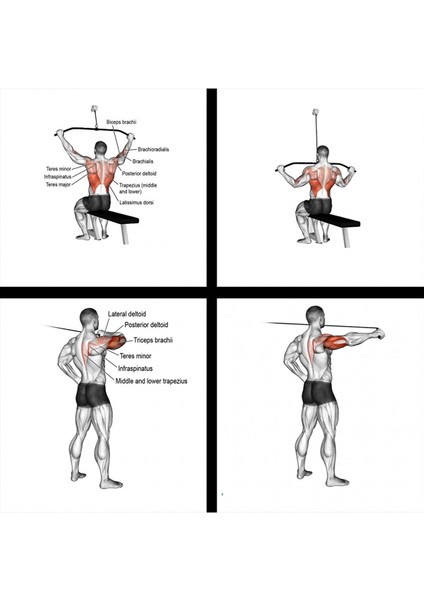 Esi Fitness Cable Crossover Makara Fitness Seti Full Set