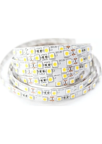 Inoled Smd 4040 / Iç Ortam Şerit LED 5m